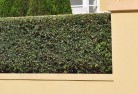 Ginginhard-landscaping-surfaces-8.jpg; ?>